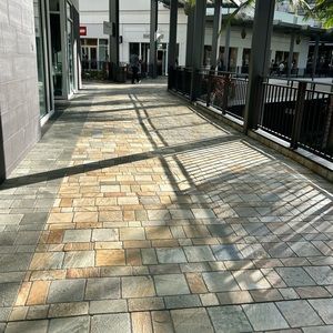 Meet your Posher, Jazmine